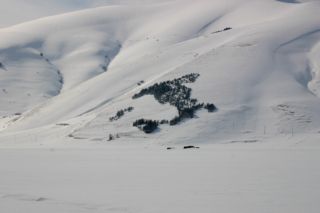 https://www.trekking-tiburzi.it/Imag-fz_Castelpolino/CASTELLUCCIO%20IT.jpg