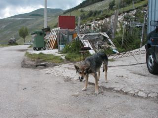 https://www.trekking-tiburzi.it/Imag-fz_Castelpolino/LA%20LUPA%20DI%20CASTELLUCCIO.JPG